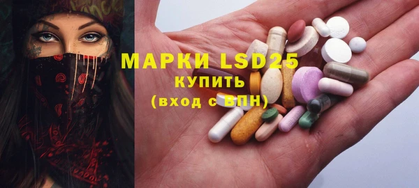 индика Зерноград