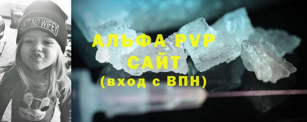 индика Зерноград