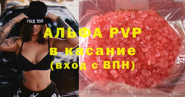 индика Зерноград