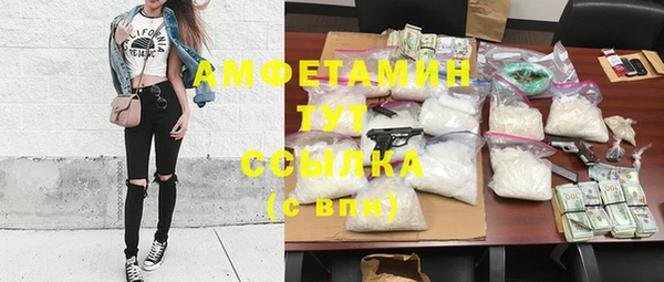 индика Зерноград