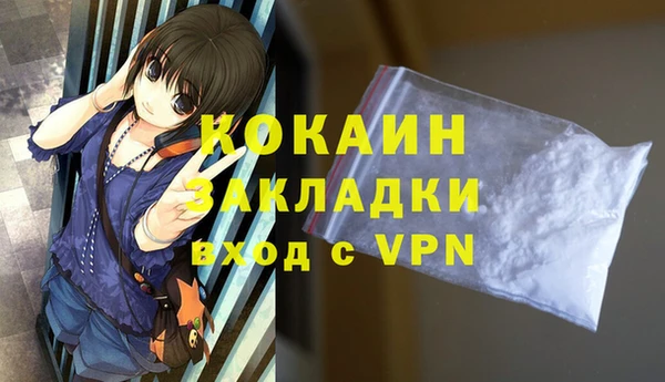 индика Зерноград