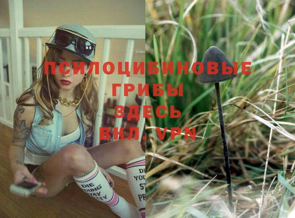 индика Зерноград