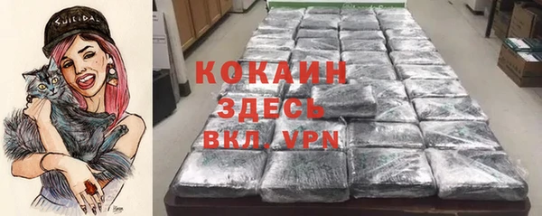 индика Зерноград