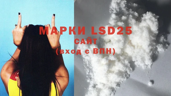 индика Зерноград