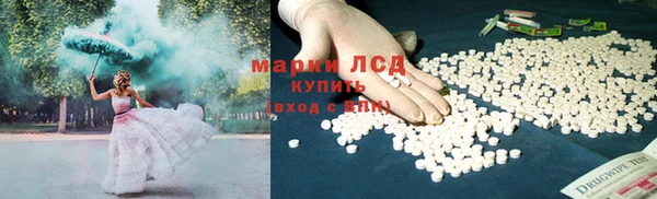 индика Зерноград